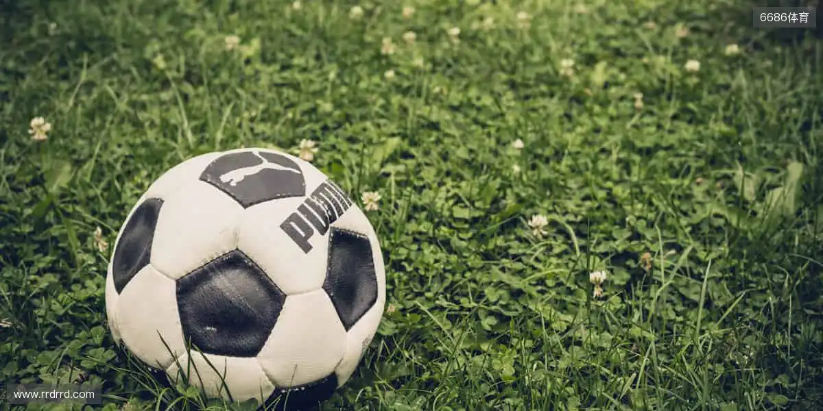 🎁限量周边,用热爱定义你的运动态度!